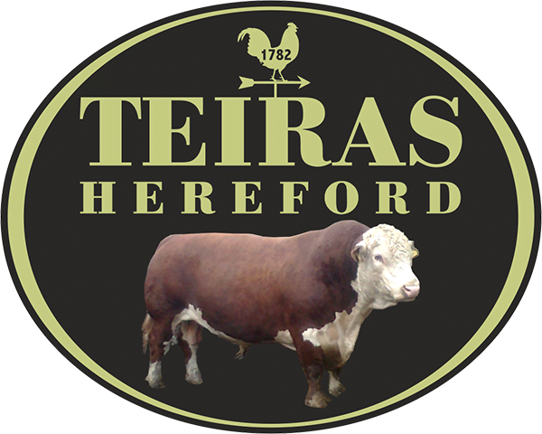 Teiras Hereford